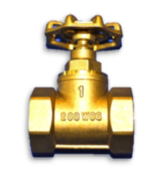 Drain Valve, Without Sampler, 1 in. NPT, Model 171 Series